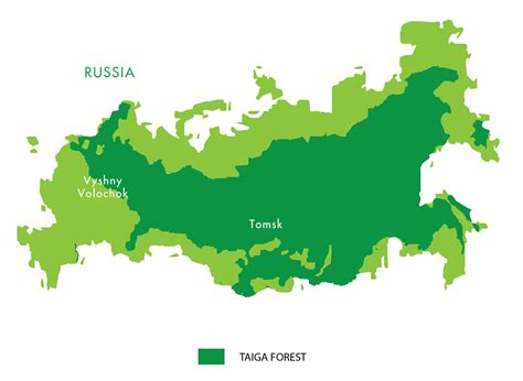 Taiga Russia Map World Map Interactive