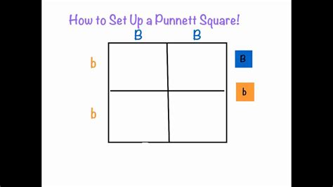 Punnett square cheat sheet below is a sampling of punnett square problems that you will be expected to solve. Unit 2 Lesson 3 Elements Of An Argument - Lessons - TES Teach