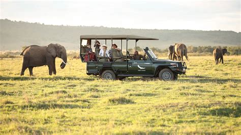 Masai Mara The Best Place For Safari Airways Office Airlines Office
