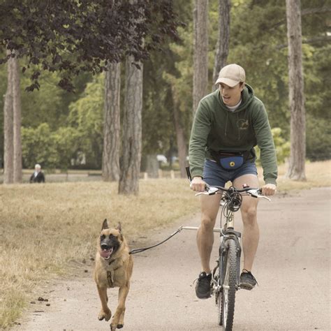 Comment Faire Du Vélo Avec Son Chien à Paris Mes Conseils