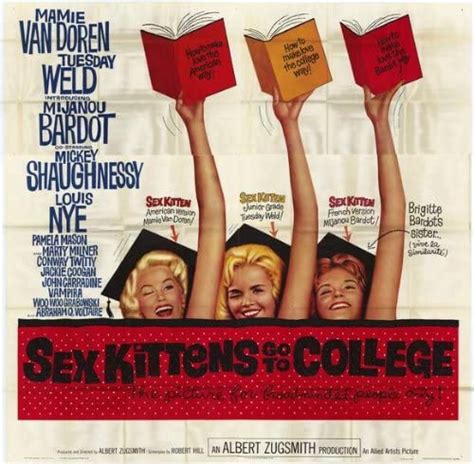 sex kittens go to college 11x17 inch 28 x 44 cm movie poster uk home and kitchen