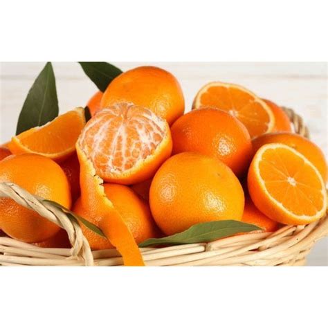Fresh Orange At Rs 40kilogram Oranges In Muzaffarpur Id 19101055712