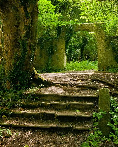 🌳 61 Magical Secret Garden Paths Garden Paths Secret Garden English