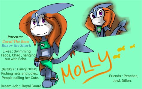 Molly Sonic Next Gen By Dragonqueenslair On Deviantart