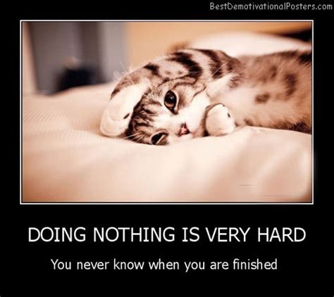 Doing Nothing Is Very Hard Motivational Poster