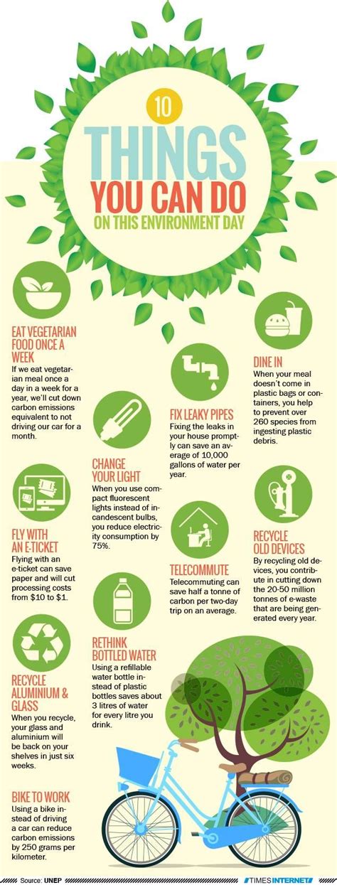 Infographic 10 Must Dos On World Environment Day World Environment