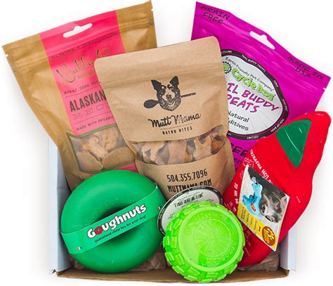 Toys Treats Chews And Accessories That Your Dog Will Love Dog Box