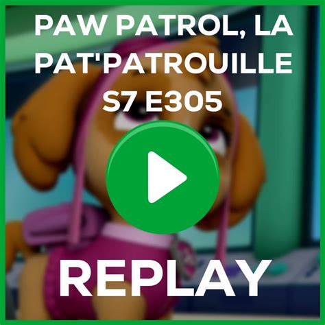 Replay Paw Patrol La Patpatrouille Le Sauvetage Des Parachutistes