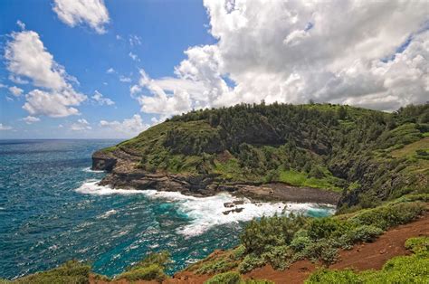 Kilauea Lighthouse Cove Kauai Hawaii Pictures