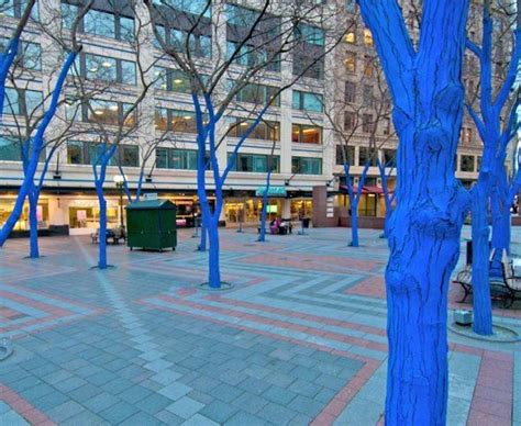 Blue Trees Art Installation Coming To Sacramento The City Annual