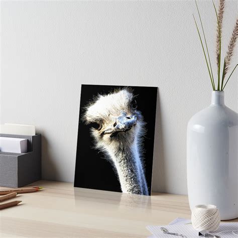 Ostrich Face With Goofy Expression Art Board Print By Taiche Redbubble
