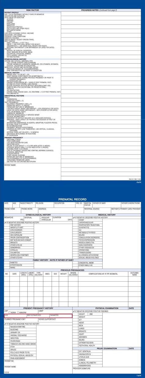 Prenatal Record Form ≡ Fill Out Printable Pdf Forms Online
