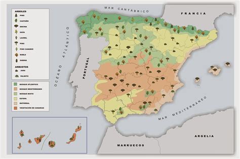 Geografía De España 2º Bach Mapas Vegetación Para Posibles Prácticas