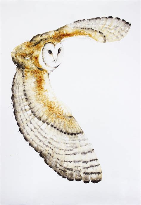 Flying Barn Owl By Karolina Kijak Watercolor Bird Owls Drawing Bird