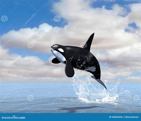 Orca Killer Whale Is A Vector Stylized Sign For A Logo Or Pictogram