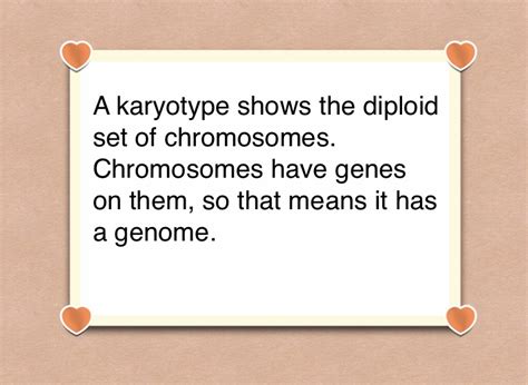 Chromosome 14 is one of the 23 pairs of chromosomes in humans. 14.1 Human Chromosomes - Screen 4 on FlowVella ...