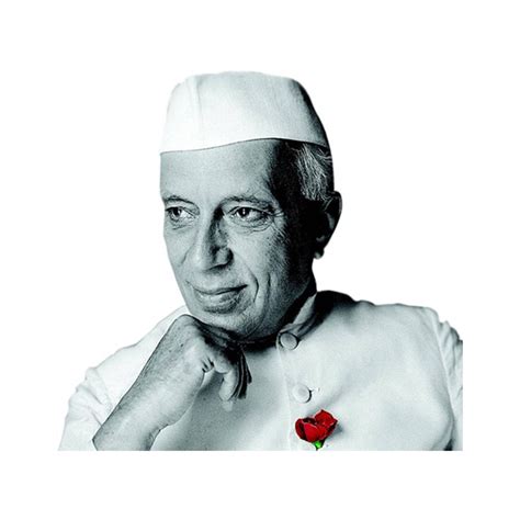 Jawaharlal Nehru With Rose