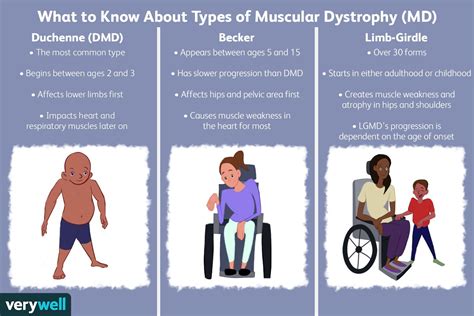 Muscular Dystrophy Types And Symptoms