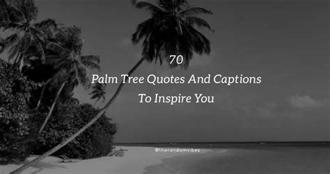 70 Palm Tree Quotes And Captions To Inspire You Instagram 2022
