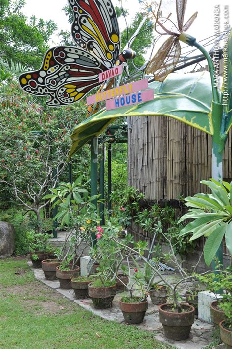 Davao Butterfly House Souvenir Shop Philippines Tour Guide