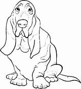 Hound Basset Cartoon Dog Coloring Cute Drawings sketch template