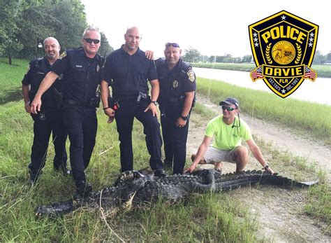 Florida Police Nab Monster 450 Pound Alligator Near Schools Cbs News