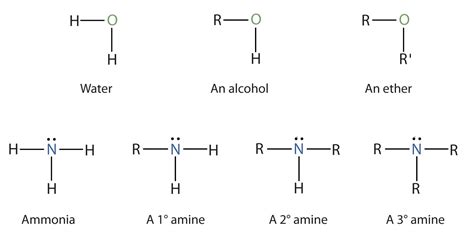 Amines Structures And Names