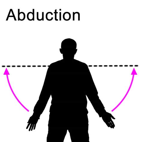 Abduction Anatomy Anatomical Charts And Posters