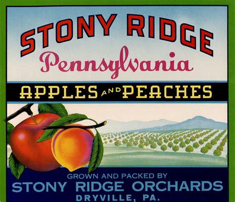 Stony Ridge Crate Label Dryville Pennsylvania By Labelstone On Etsy