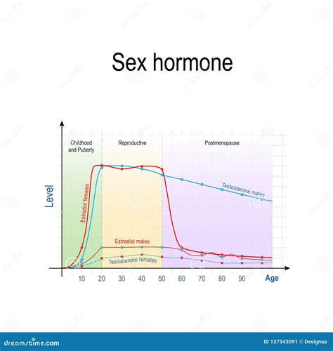 Sex Hormones And Ageing Levels Of Testosterone For Males And Females And Estradiol For Men And