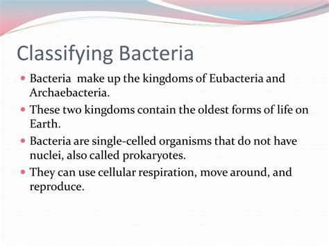 Ppt Bacteria Powerpoint Presentation Free Download Id2016203