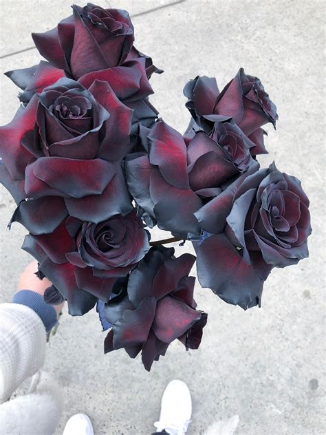 Black Roses Are One Of The Most Stunning Roses Boquette Flowers