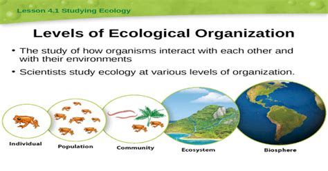 Levels Of Ecological Organization Ppt Powerpoint