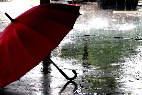 Umbrella In Rain Photograph By Dean Moriarty