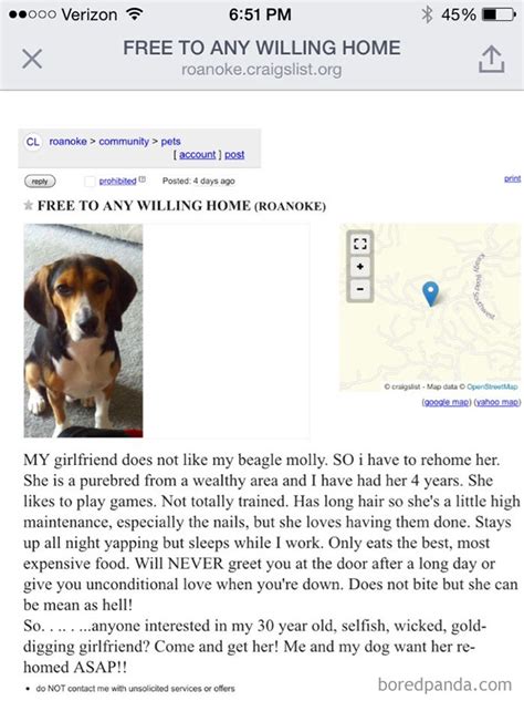 30 Of The Funniest And Strangest Ads Ever Seen On Craigslist Laptrinhx