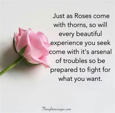 If you love a rose, you have to love its thorns too. Romantic Good Morning Roses Quotes | 40 Quotes