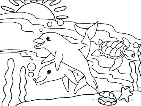 Pages Of A Dolphin And Sunset Coloring Pages
