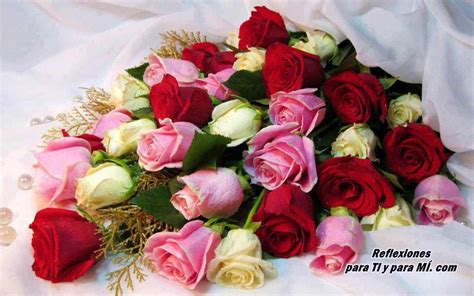 Buenos Deseos Para Ti Y Para MÍ Ramos Rosas Rojas Rosas Y Blancas
