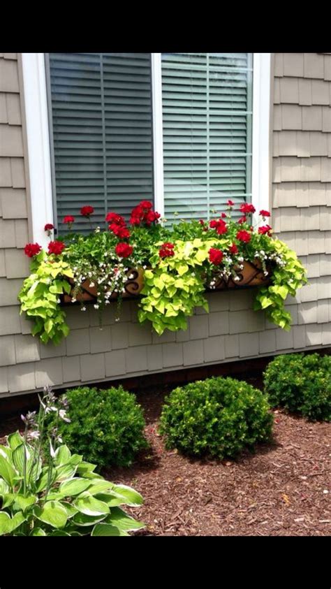 Dress up your deck with this gorgeous flower combination for full sun. Part sun part shade window box flowers | Window box ...
