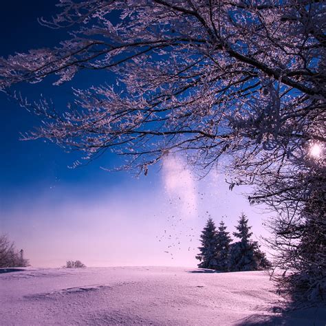 2932x2932 Winter Snow Sunset Dusk Sky Clouds Landscape Ipad Pro Retina