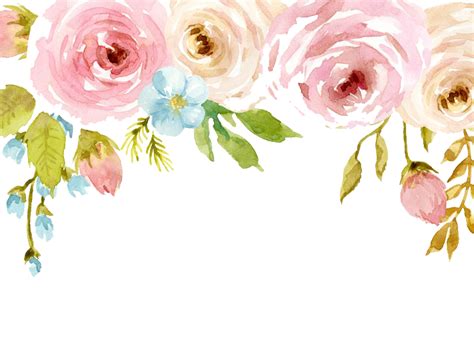 All watercolor flowers png images are displayed below available in 100% png transparent white background for free download. Watercolor Flowers PNG Background | PNG Mart