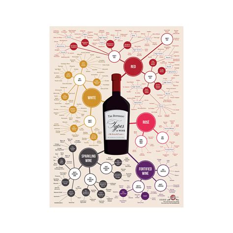 Wine Folly Different Types of Wine | Different types of wine, Wine infographic, Types of wine