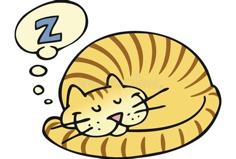 Sleeping Cat Stock Vector Illustration Of Curled Sleeping 7946287
