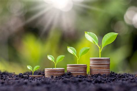 Sustainable Investing - Brooks Wealth Management