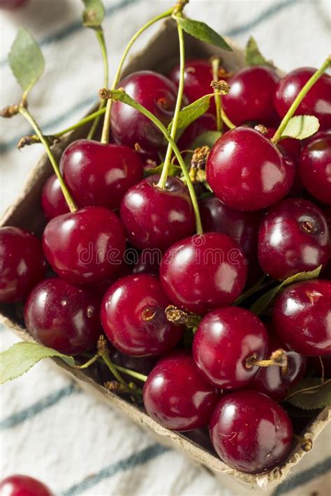 Raw Red Organic Tart Cherries Stock Image Image Of Tart Bing 123488467