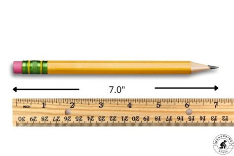 How Long Is 7 Inches Compared To An Object Measuring Stuff
