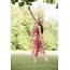 Woman Reaching Up To Branch Royalty Free Stock Image  14947576