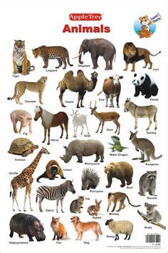 Our list is by no means exhaustive, so please share more collective nouns for groups of animals in the comments below. Educational Charts :: Classic Charts :: Domestic Animals ...