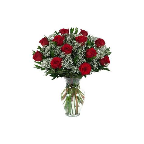 Classic Red Rose Arrangement With Babys Breath In