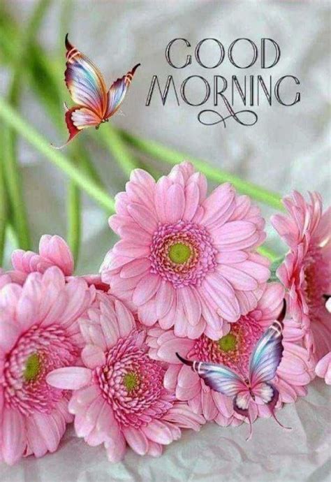 Pin By Midhuna On Good Morning2 Good Morning Flowers  Lovely